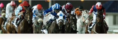 نادي دبي لسباقات الخيل يعلن عن الخيول المرشحة للمشاركة في أمسية كأس دبي العالمي 2019