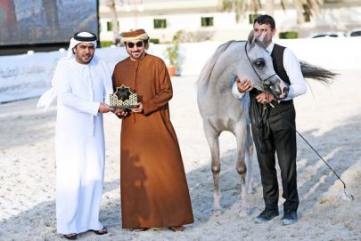 “ار كي سديم” تحقق 94.00 نقطة في بطولة الإمارات الوطنية لجمال الخيول العربية