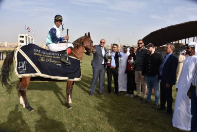 ” مراد سعفان ” يخطف الأضواء ويتوج بلقب كأس رئيس الدولة للخيول العربية الأصيلة في مصر
