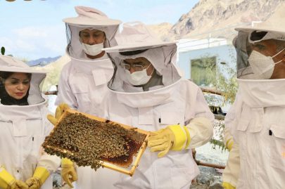 بلحيف النعيمي يناقش تحديات تعزيز تربية نحل العسل ومتطلبات زيادة الإنتاج