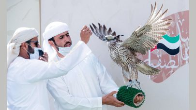 دوري الإمارات للصيد بالصقور قوة وندية تزين “فخر الأجيال”