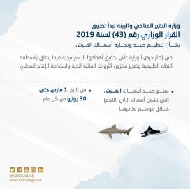 “التغير المناخي” تبدأ حظر وتنظيم صيد أسماك القرش مطلع مارس المقبل