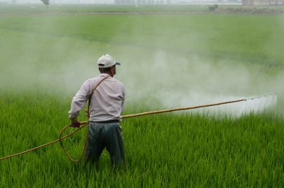 ثلث الأراضي الزراعية معرضة للتلوث بالمبيدات الحشرية