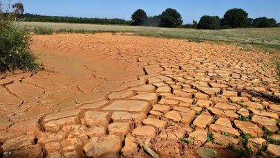 الجفاف يكبد أوروبا خسائر زراعية ضخمة