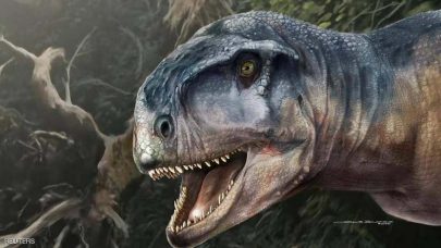 اكتشاف جمجمة ديناصور عاش قبل 85 مليون سنة في الأرجنتين