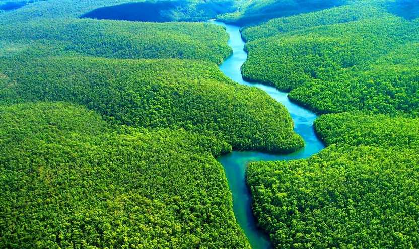 التغير المناخي: الاتحاد الأوروبي يدعم خطة لحماية غابات الأمازون