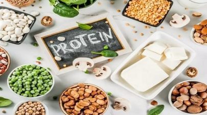 البروتين ضروري لكثير من وظائف الجسم الحيوية
