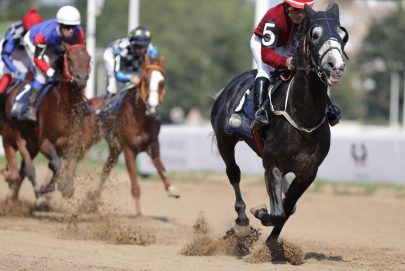 المهر “ساحر” بطلاً لكأس رئيس الدولة للخيول العربية الأصيلة في روسيا