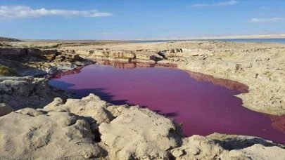 طحالب وبكتيريا وراءالمياه الحمراء في البحر الميت