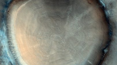 مسبار المريخ الروسي الأوروبي  يلتقط صورة لـ”جذع شجرة”