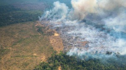 حرائق وحرارة قياسية في غابات الأمازون الكولومبية