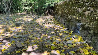 بريطانيا: جفاف منبع نهر “التيمز” بسبب التغيرات المناخية