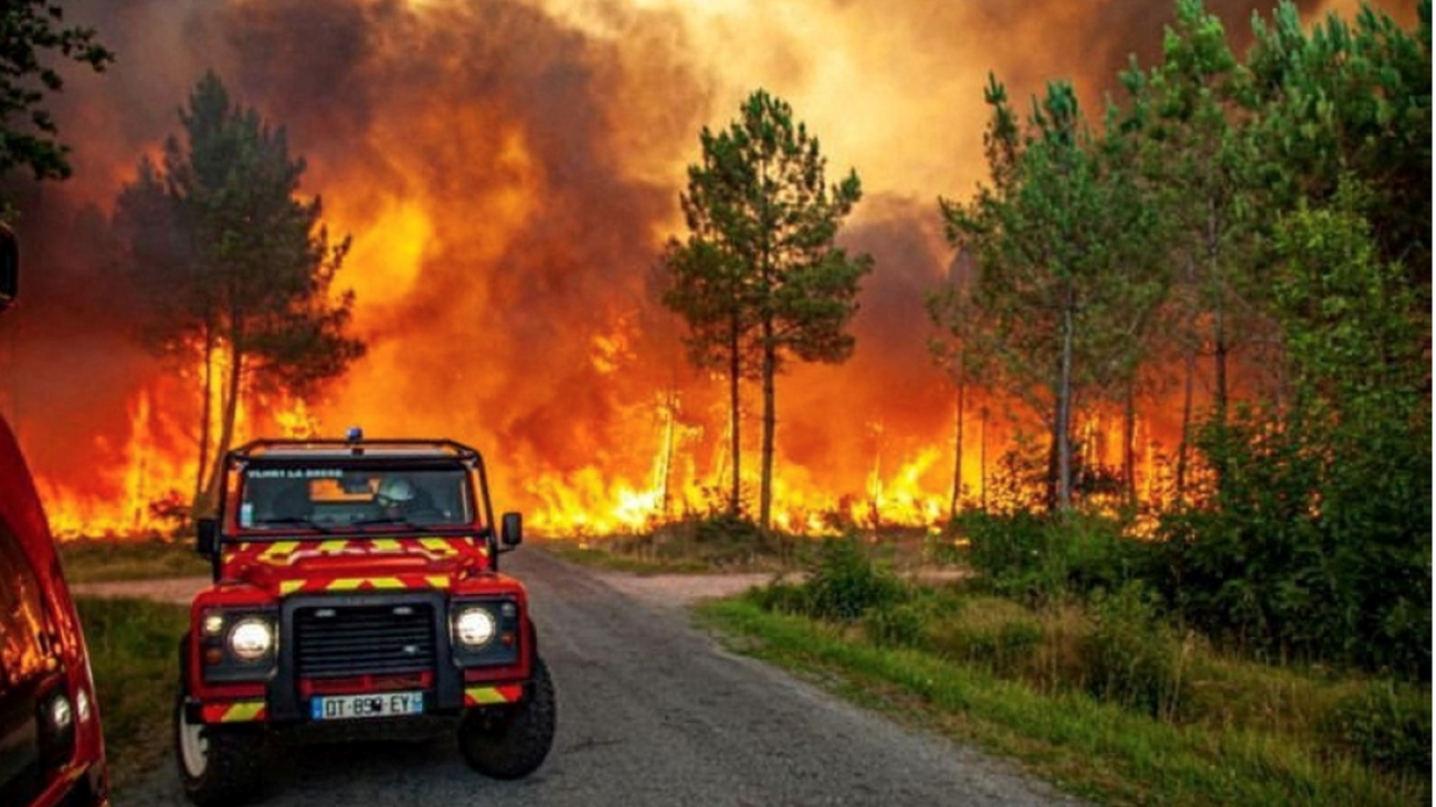 فرنسا تحقق بافتعال حريق الغابات في جيروند