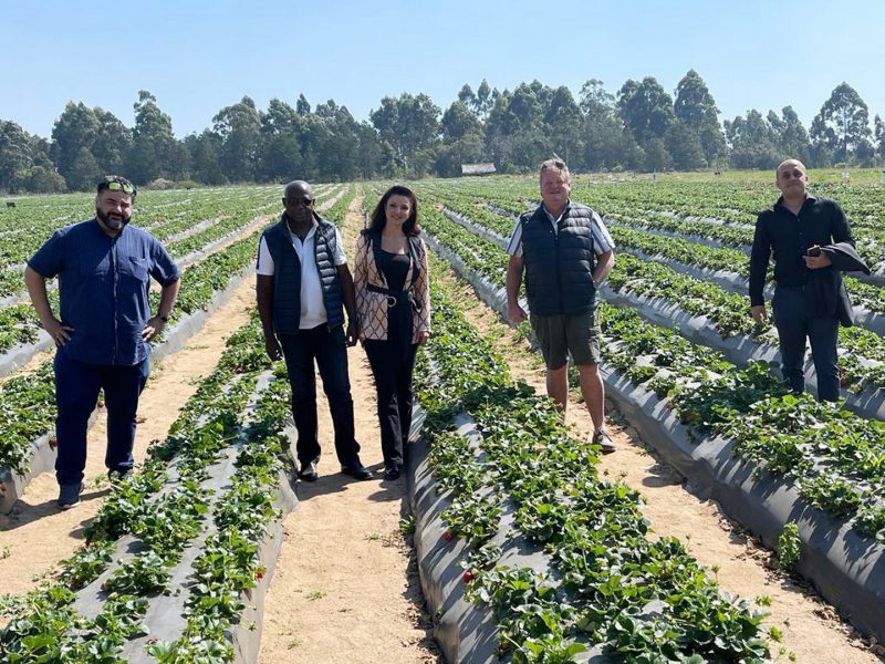 “غرفة دبي العالمية” تدعم توسّع شركة المنتجات الزراعية الزيمبابوية “نيمبي”