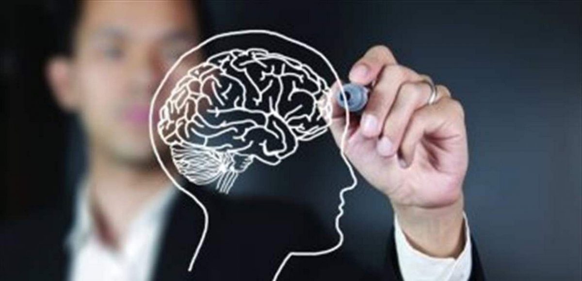 دماغ الإنسان.. عالم بوسع الكون وعلومه غير مكتملة