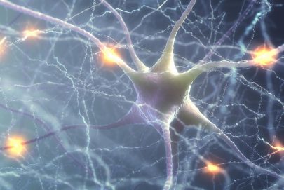 كيف تتكون الذكريات؟