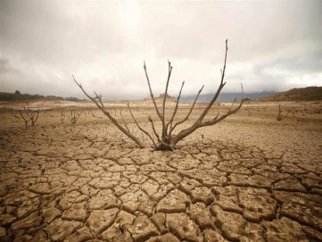 الجفاف يهدّد 22 مليون إنسان في القرن الأفريقي