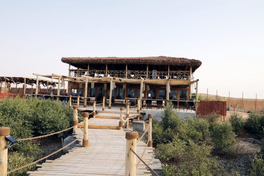 شاطئ القرم بأم القيوين .. وجهة لمحبى السباحة وركوب الامواج والنزهات البحرية