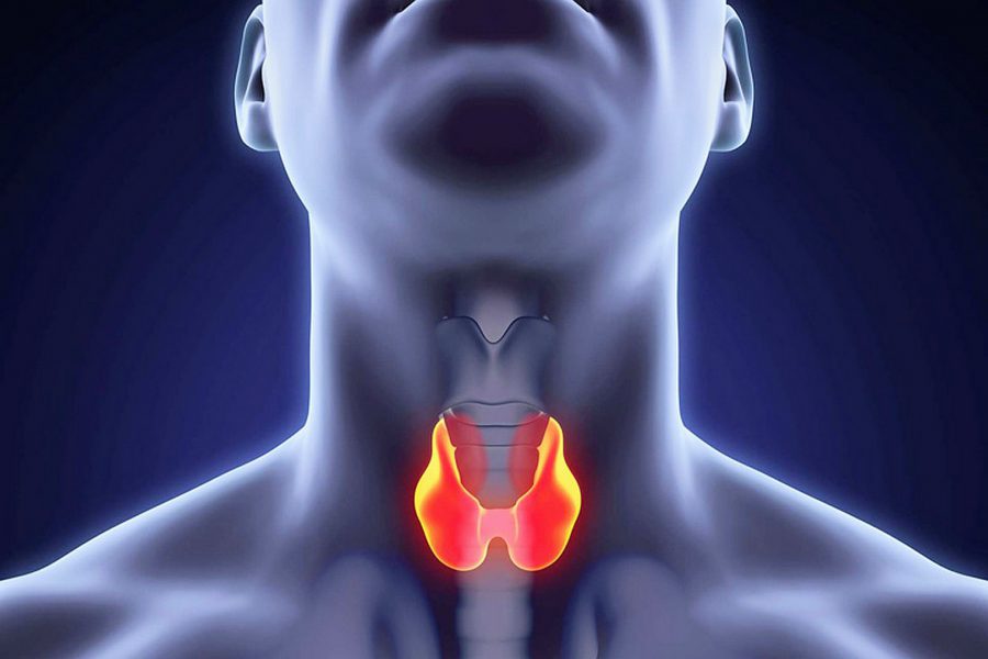 “توام ” يتيح تقنية الاستئصال بالترددات الراديوية والموجات الدقيقة لعلاج عقيدات الغدة الدرقية الحميدة