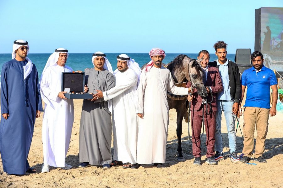 اختتام منافسات بطولة الظفرة لجمال الخيل العربية