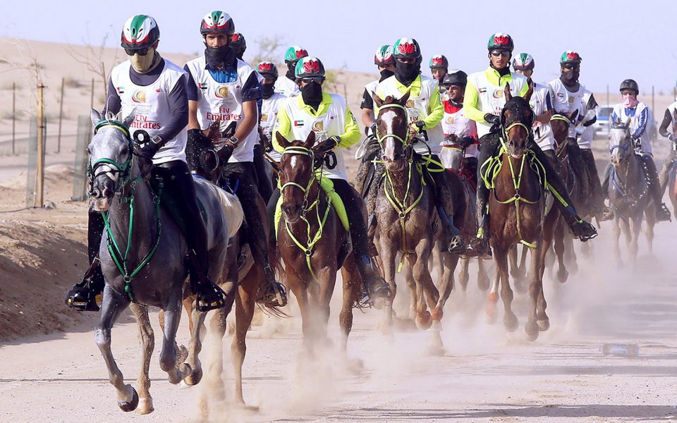 سباق كأس ولي عهد دبي للقدرة ينطلق في سيح السلم السبت