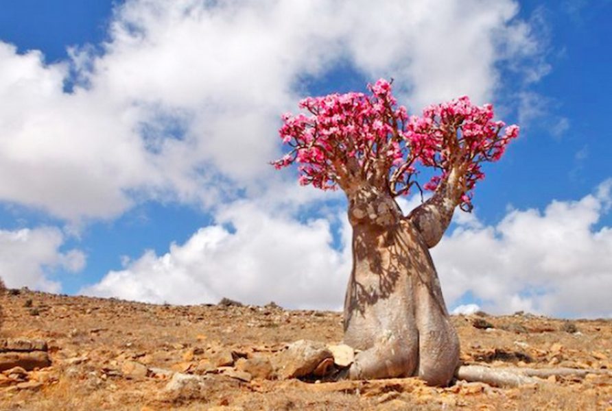 تعرف على البقعة الأكثر غرابة على الأرض