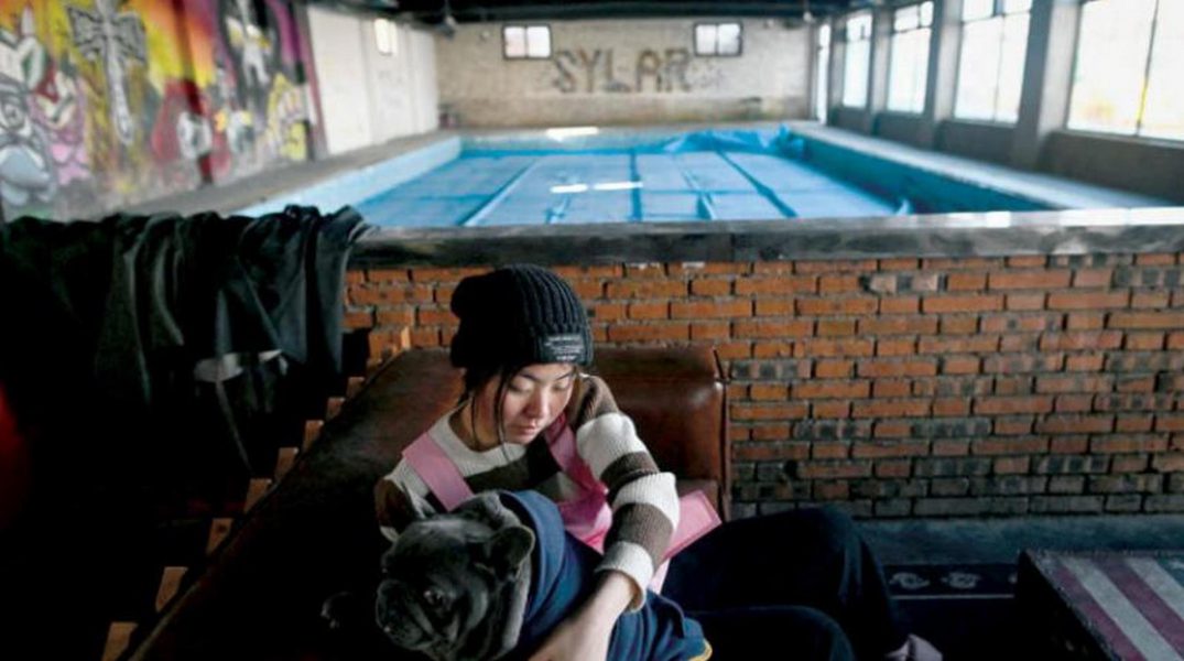 مجالسة الحيوانات الأليفة تنتعش في الصين