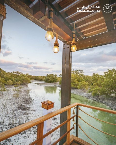 #هذه_أبوظبي.. منتزه قرم الجبيل بعدسة هاري بنتو