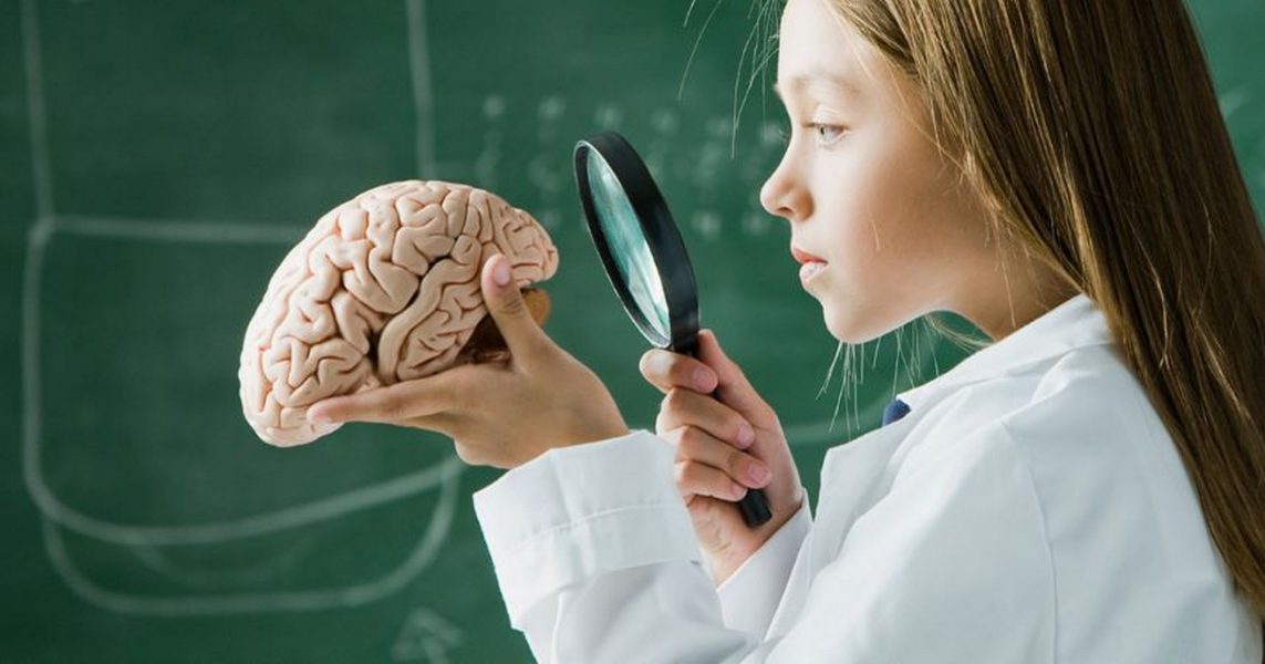 “مادة هلامية” تتحول إلى أقطاب كهربائية في الدماغ