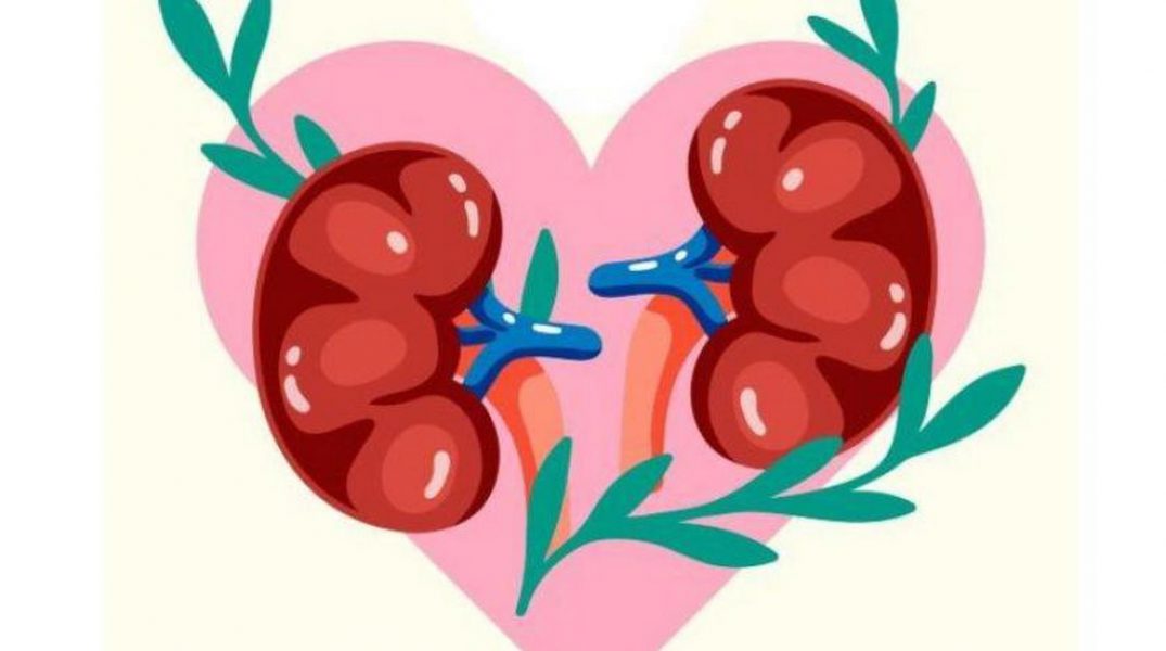 أطعمة ممنوعة لمرضى الكلى والسكري