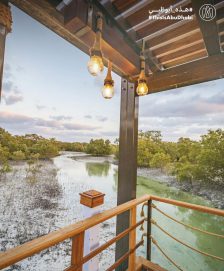 #هذه_أبوظبي.. منتزه قرم الجبيل بعدسة هاري بنتو