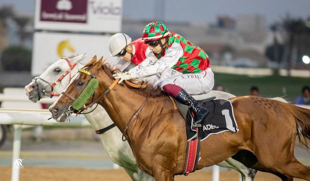 “صمود” و”مجيب” و”حميم” في تحدٍ مثير بالسباق 13 للخيول على مضمار أبوظبي اليوم