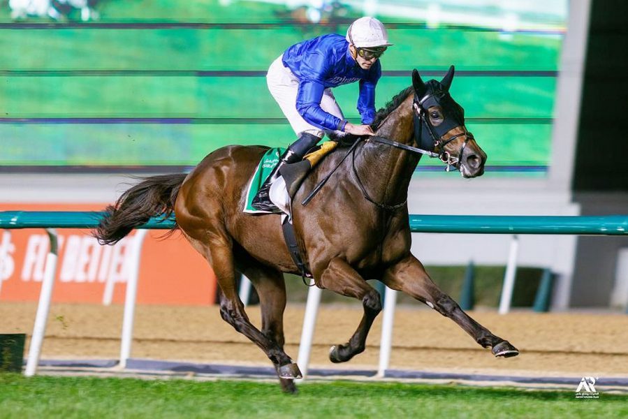 128 خيلاً تقدم اليوم “بروفة” لكأس دبي العالمي على مضمار ميدان