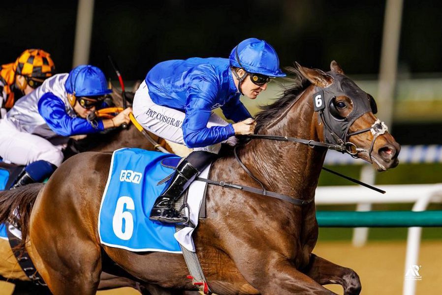 أبطال “سوبر ساترداي” إلى “مونديال” كأس دبي العالمي للخيول