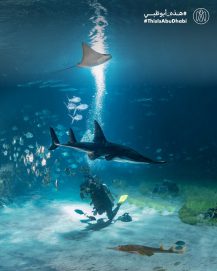 #هذه_أبوظبي ناشونال اكواريوم أبوظبي بعدسة هيثم بن محمد النبهاني