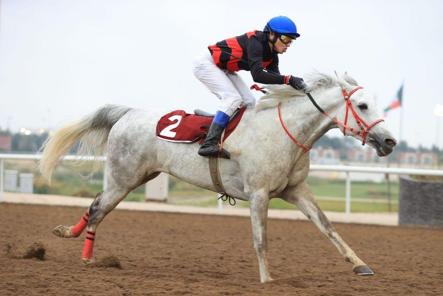 “هدباء الشاهين” تتوّج بكأس مهرجان سباقات سمو الشيخ منصور بن زايد في الكويت