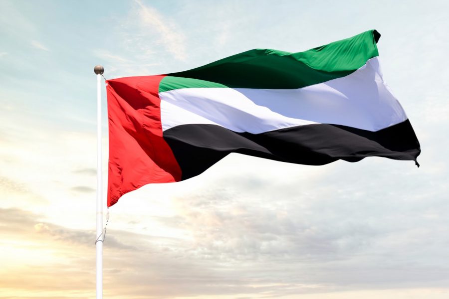 الإمارات تشارك العالم الاحتفاء بـ”يوم السعادة”