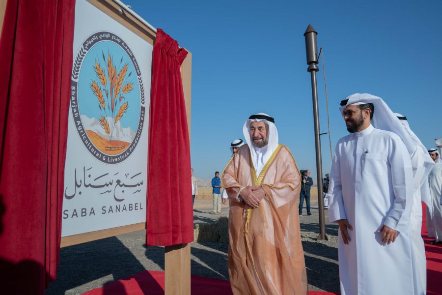 حاكم الشارقة يشهد حصاد المرحلة الأولى لمزرعة القمح “سبع سنابل” في مليحة