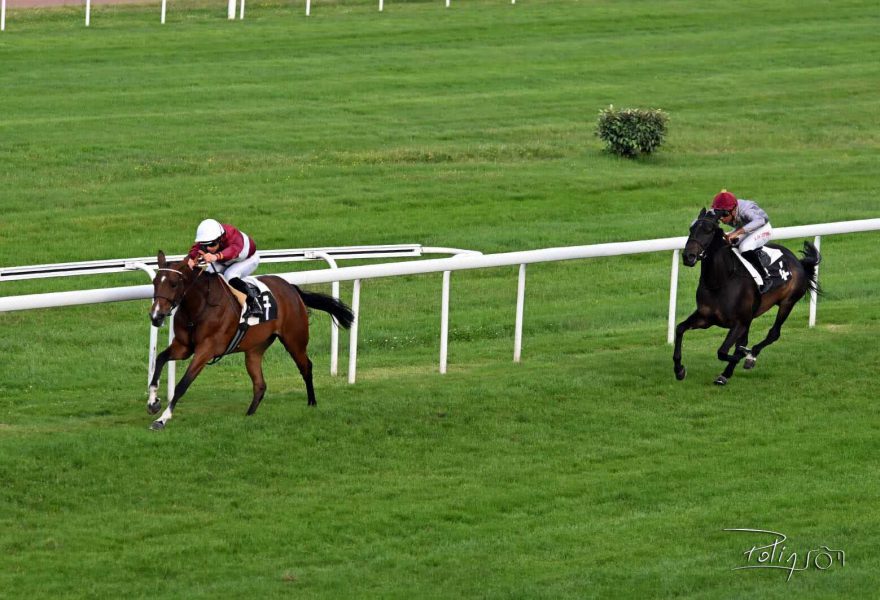 المهرة “سيرين” تتوّج بكأس فاطمة بنت مبارك للخيول العربية الأصيلة في فرنسا