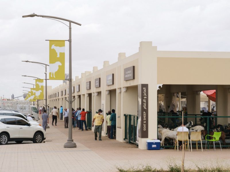سوق الشارقة للمواشي” يستقبل 150 ألف زائر خلال الربع الأول من 2023