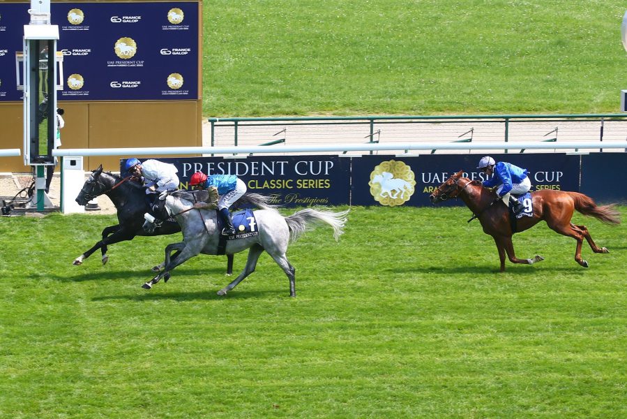 الجواد “شيزا” بطلا لكأس رئيس الدولة للخيول العربية الأصيلة في فرنسا