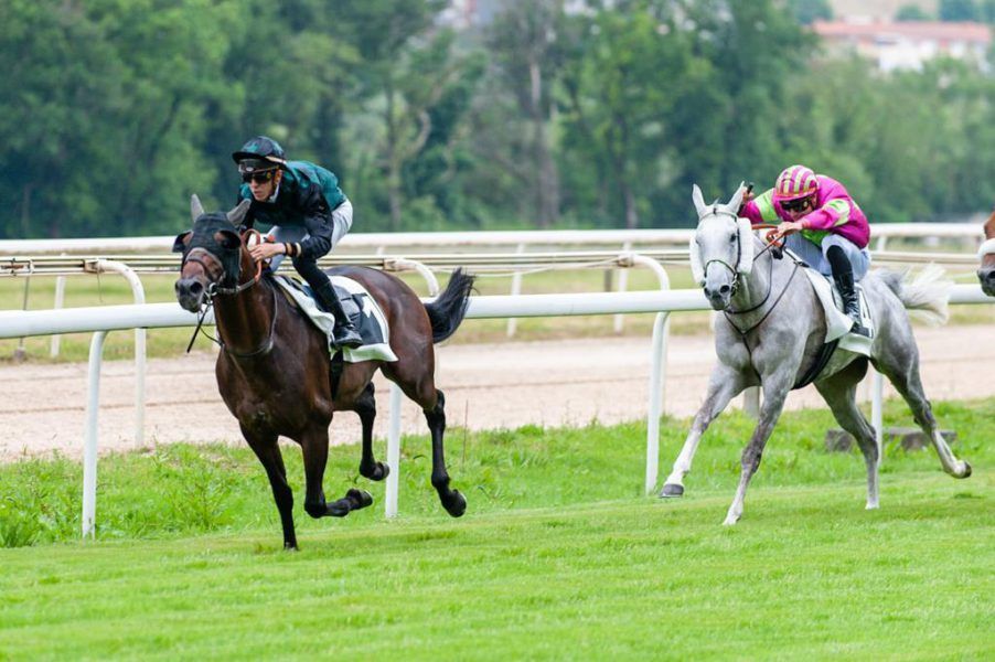 الجواد “إيشان” يتوج بكأس فاطمة بنت مبارك للخيول العربية في إسبانيا