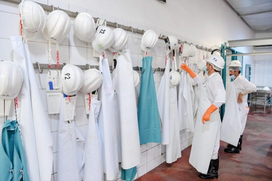 بلدية أبوظبي ترفع جاهزية المسالخ استعداداً لعيد الأضحى