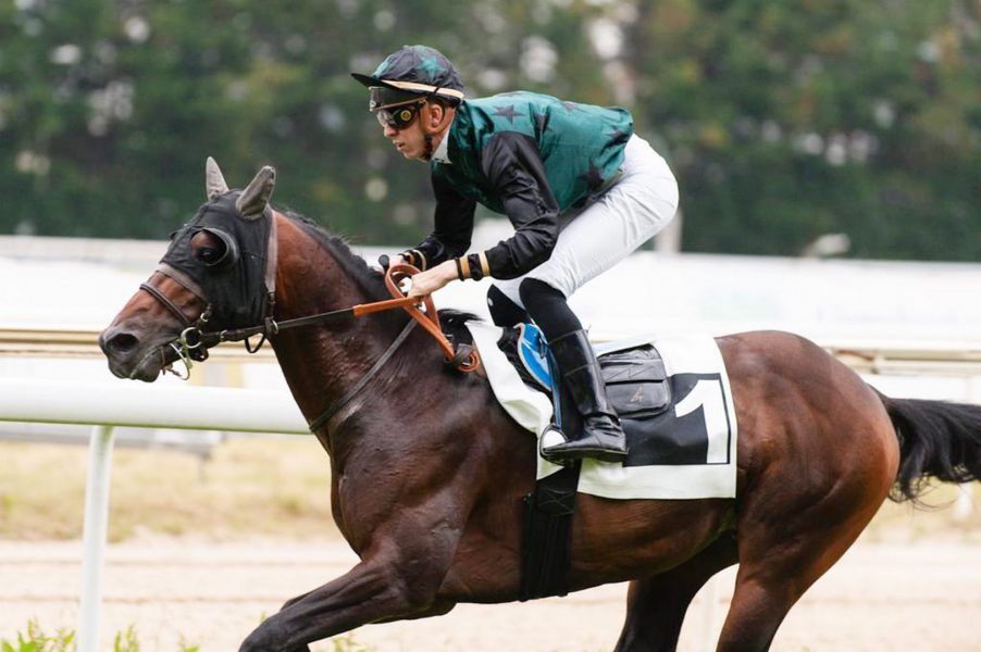 الجواد “إيشان” يتوج بكأس فاطمة بنت مبارك للخيول العربية في إسبانيا