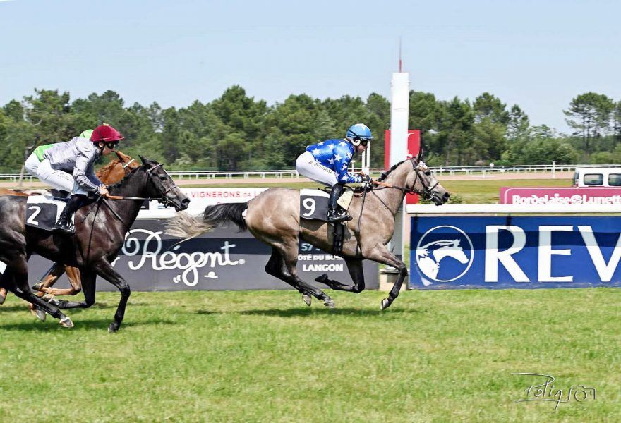 “فريدا” و”دوماس” و”إيفاندو” و”أصلان” أبطالاً لسباقات كأس الوثبة