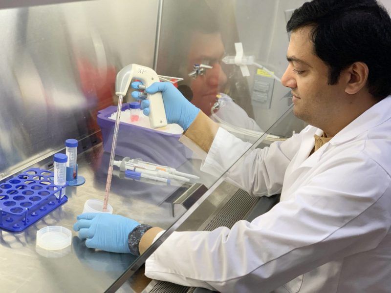 إنتاج خلية مناعية في الرئة يمهد لإنتاج أدوية جديدة