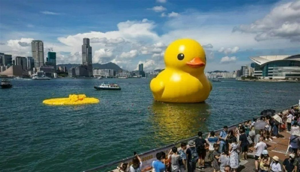 حزن في هونغ كونغ بسبب انفجار “بطة السعادة”