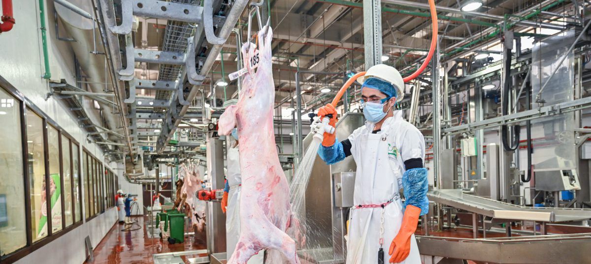 ” بلدية أبوظبي” ترفع جاهزية المسالخ استعداداً لعيد الأضحى