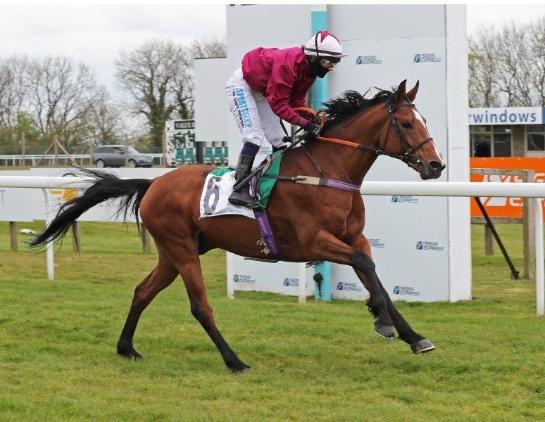 غداً .. 10 خيول تتنافس في سباق كأس الوثبة بمضمار “باث” الإنجليزي