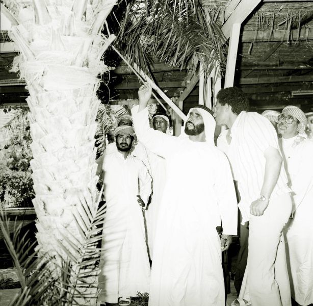 رؤية الشيخ زايد موروث ثقافي يساهم في حماية البيئة وتعزيز استدامتها